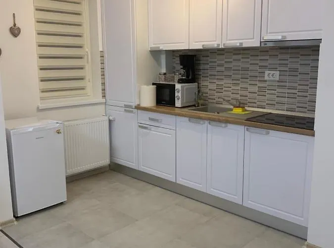 Mathias Studio Apartment Brașov