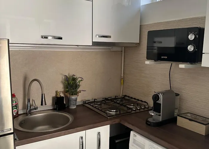 Mystic Dream House Brasov Apartment