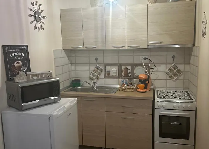 Old Town Elegance Apartment Brașov