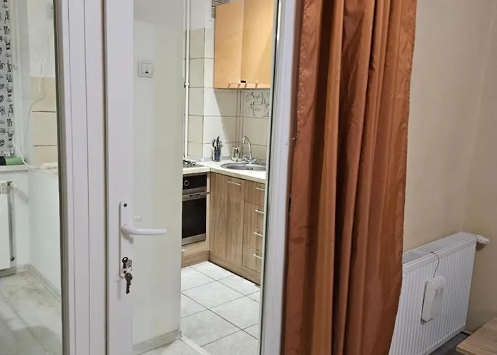 Cozy Studio Coresi Brașov