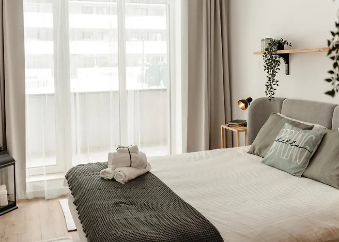 4 Seasons Cozy Apartment Brașov
