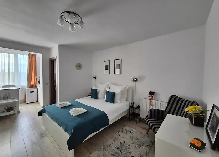 Zara Studio Brașov