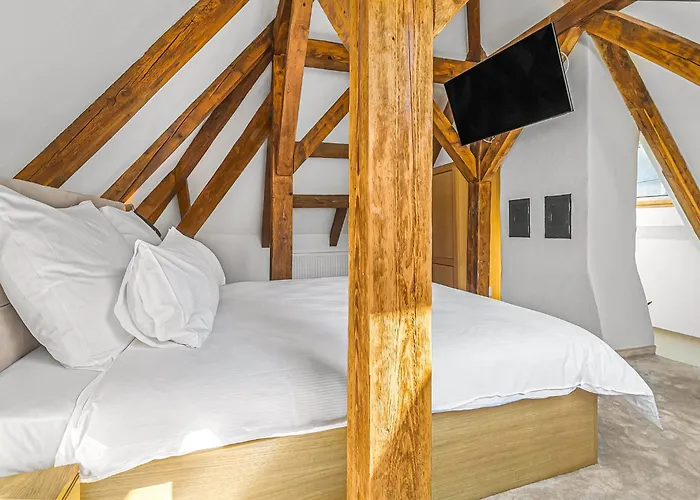 Castelului Boutique-Old Town-Free Private Parking Villa Brașov