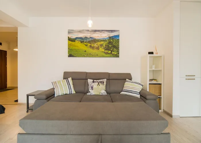 Modern Studio Near Old Town Brașov